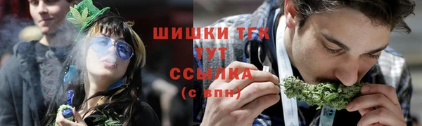 ешки Бронницы