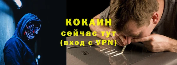 ешки Бронницы
