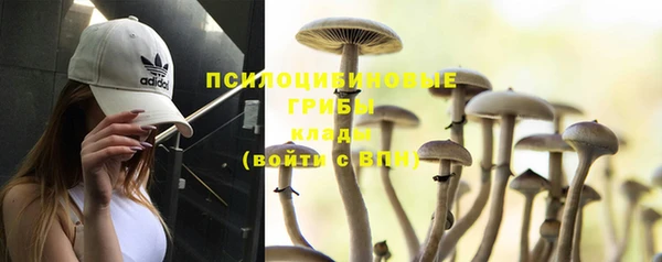 Альфа ПВП Бугульма