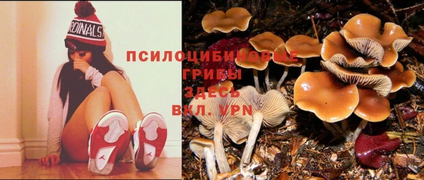 Альфа ПВП Бугульма