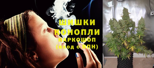 ешки Бронницы