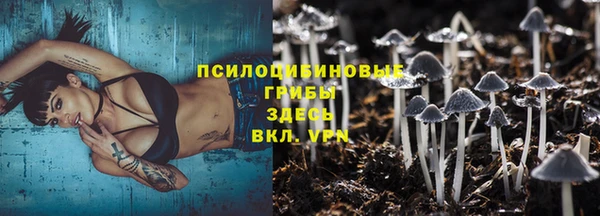 ешки Бронницы