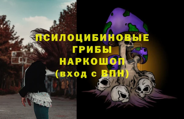ешки Бронницы