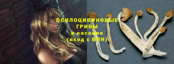 Альфа ПВП Бугульма