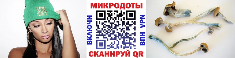 Псилоцибиновые грибы Psilocybine cubensis купить сайты ссылка на мегу как зайти Лысьва